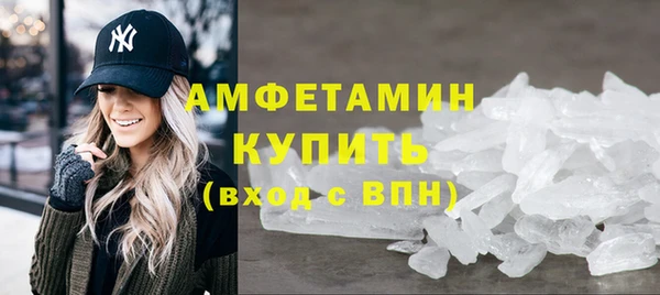 шишки Абаза