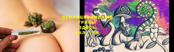 хмурый Алексеевка