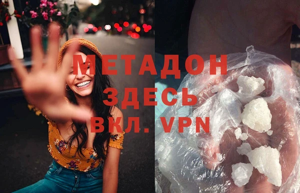 шишки Абаза