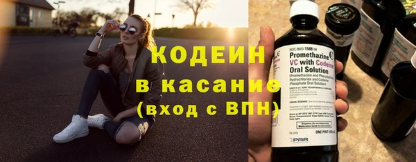 шишки Абаза