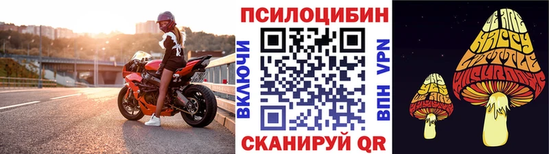 Галлюциногенные грибы Magic Shrooms  darknet какой сайт  Усть-Лабинск  закладки  hydra зеркало 